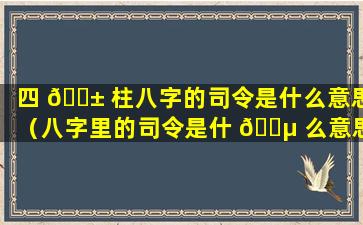 四 🐱 柱八字的司令是什么意思（八字里的司令是什 🌵 么意思）